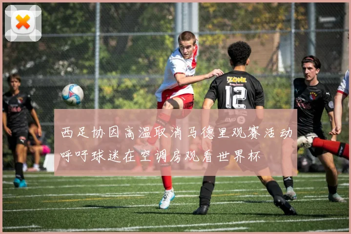 西足协因高温取消马德里观赛活动呼吁球迷在空调房观看世界杯