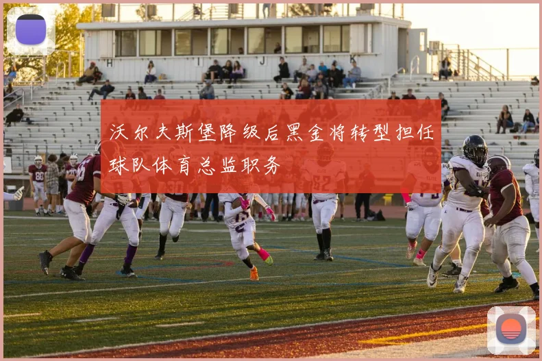 沃尔夫斯堡降级后黑金将转型担任球队体育总监职务